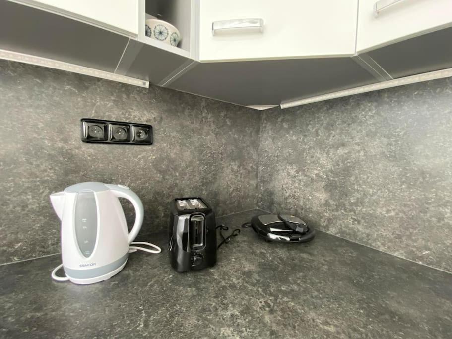 Appartement Apartman Ve Valticich à Valtice Extérieur photo
